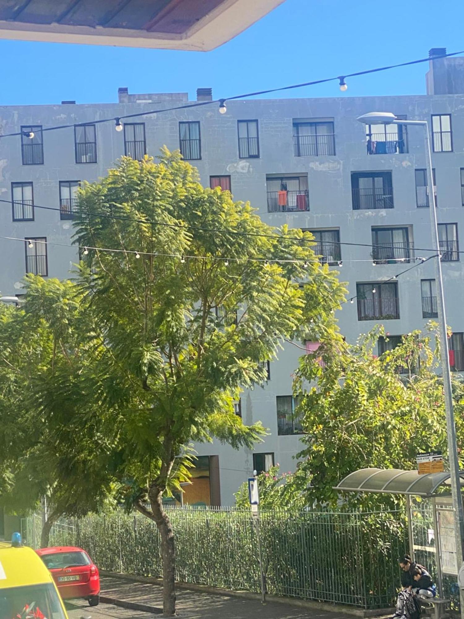 Funchal Varzea Park Apartman Kültér fotó